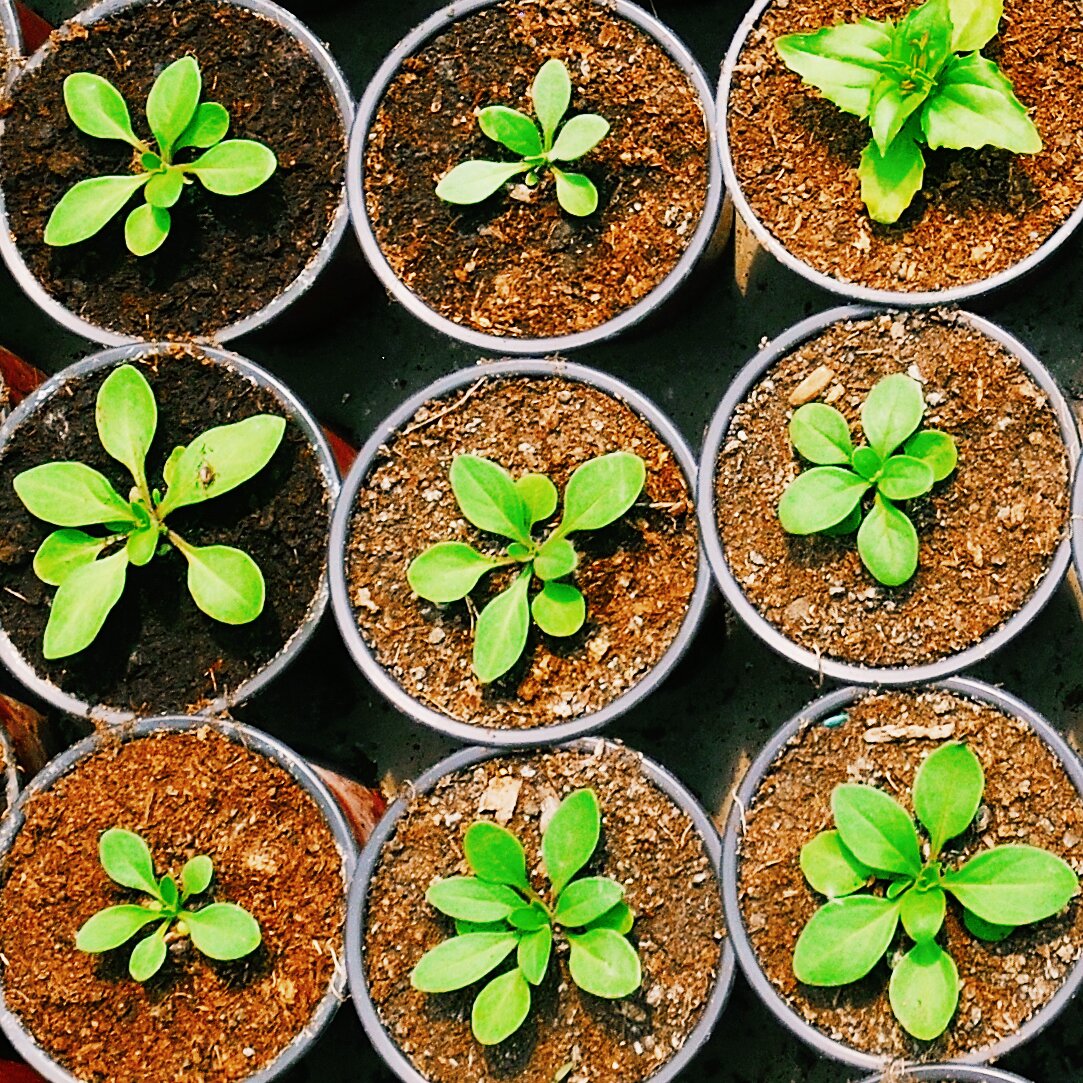 Improve organic search rankings through technical SEO